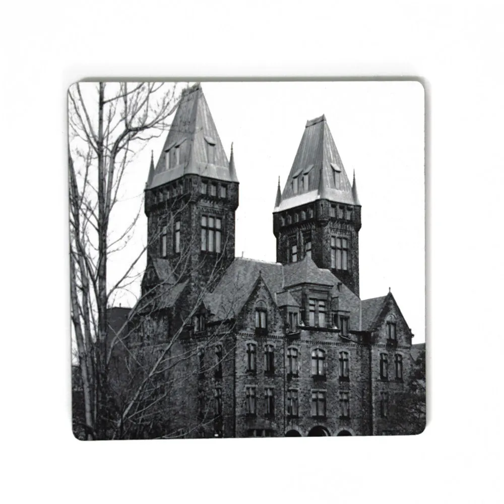 Buffalo Photo Coasters