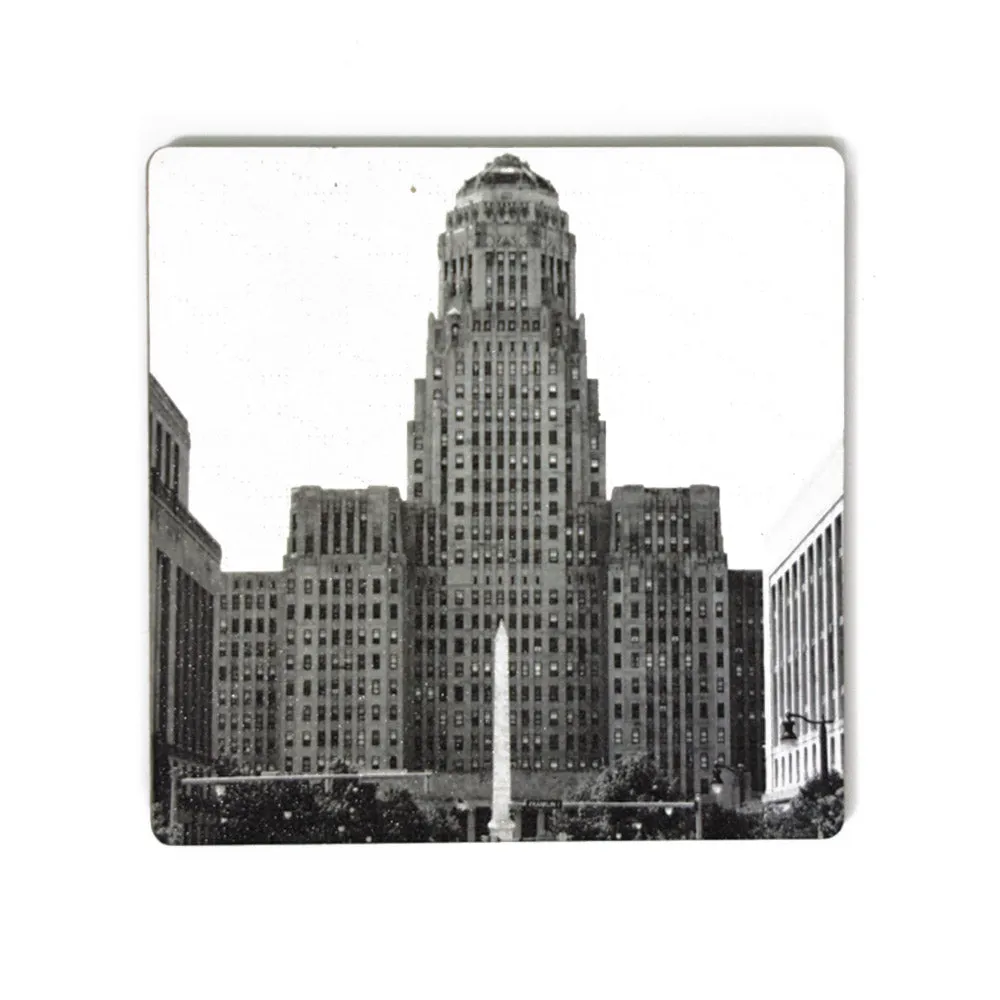 Buffalo Photo Coasters