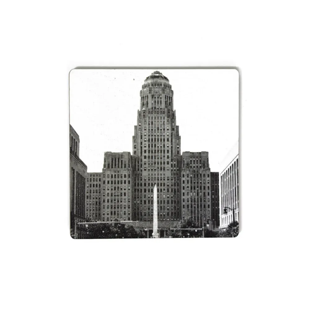 Buffalo Photo Coasters