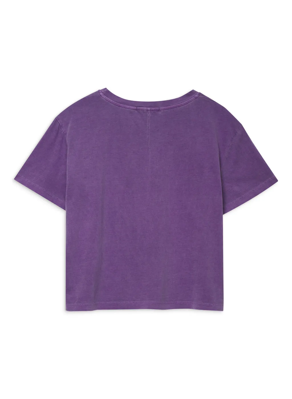 Cloud Jersey Short Sleeve Crew in Hyacinth