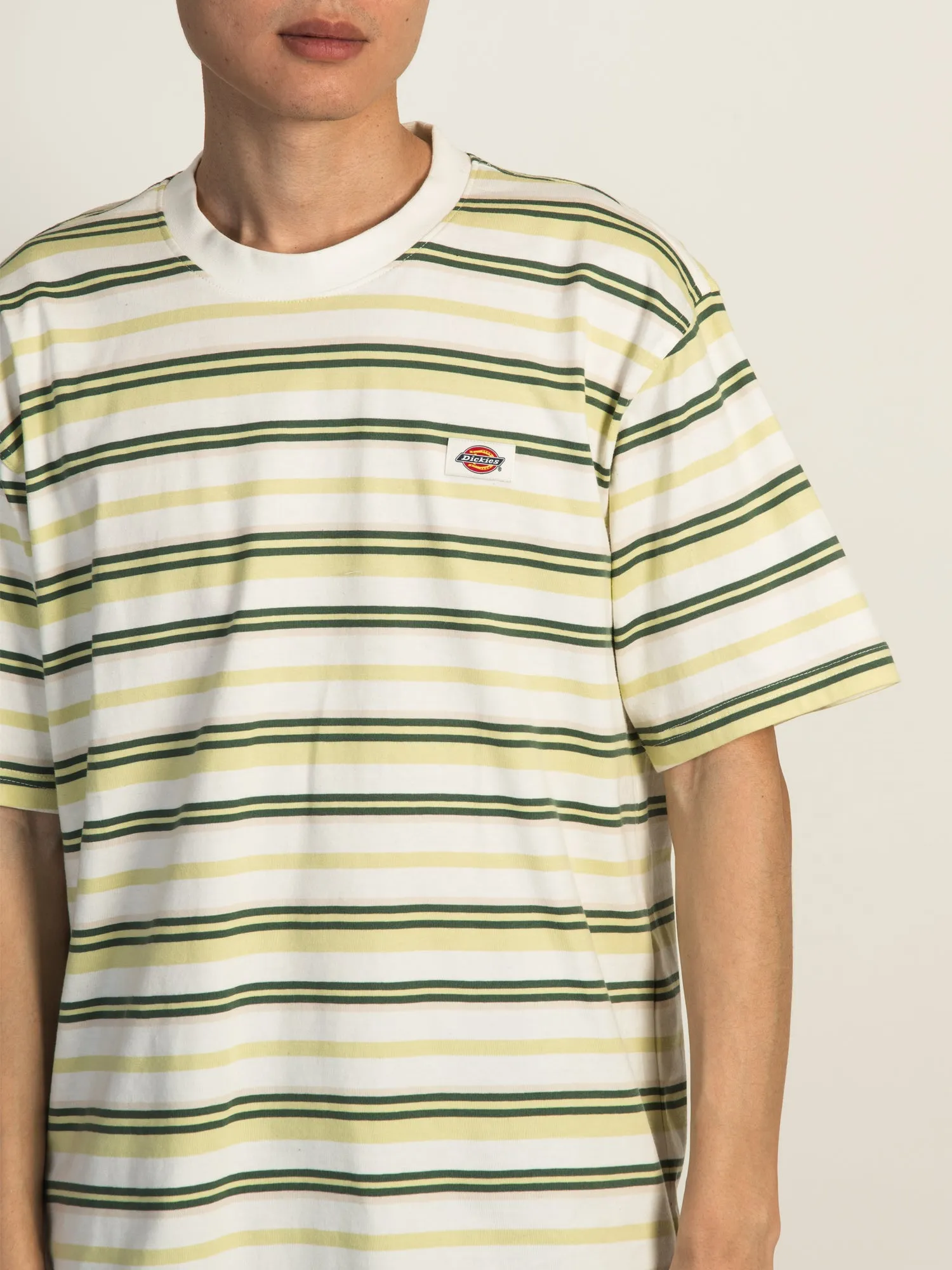 DICKIES GLADE SHORT SLEEVE SPRING STRIPE TEE