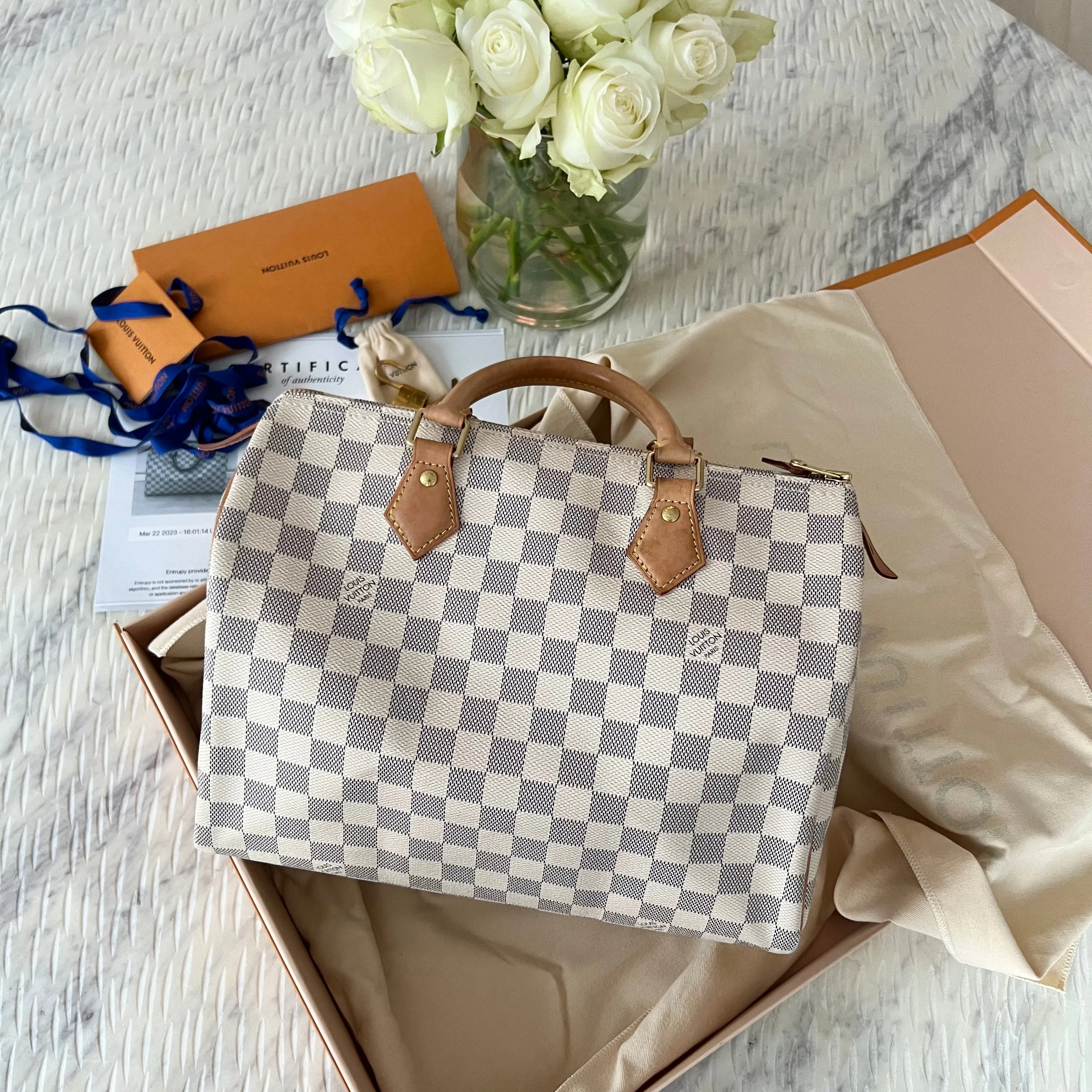 Louis Vuitton Speedy Bag