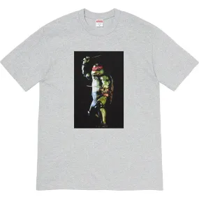 Supreme Raphael Tee (Grey)